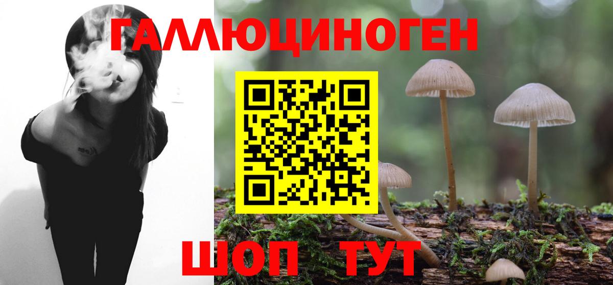 Псилоцибиновые грибы Magic Shrooms Звенигород