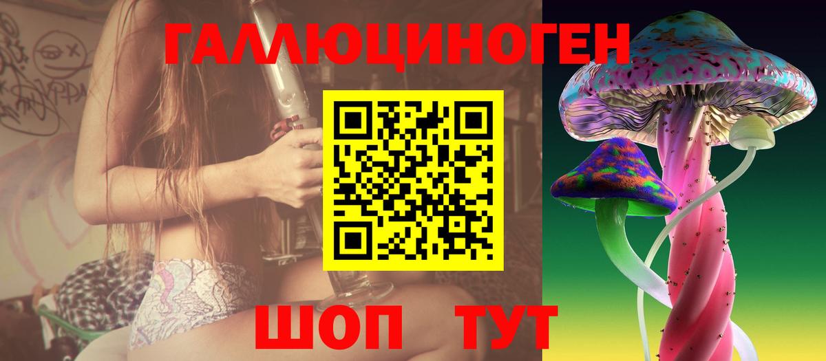 где найти наркотики  Псилоцибиновые грибы Magic Shrooms  Вход с VPN  Звенигород 