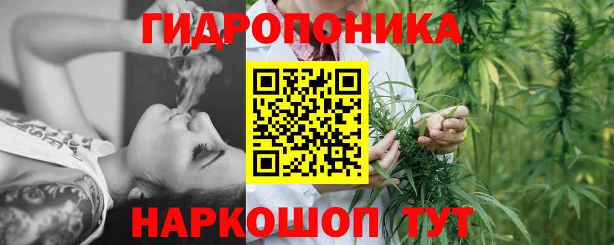 Марихуана ГИДРОПОН  Вход с VPN  Конопля White Widow  Звенигород  Каннабис план  Бошки марихуана LSD WEED 